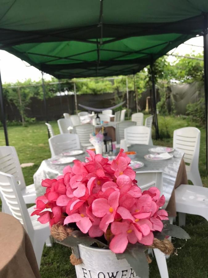 Къща За Гости Рупите , Guest House Relax Rupite Esterno foto